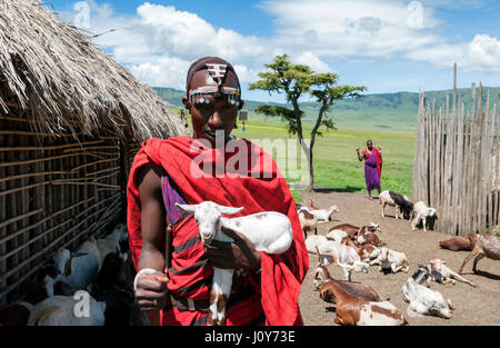 Ngorongoro Maasai Guerriero in piedi fuori della sua capanna o Inkajijik nel suo rosso Shuka e capra Bianco con un altro gregge di capra sullo sfondo. Foto Stock