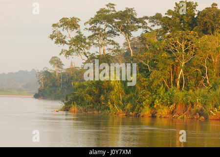 Rio Napo in Yasuni, parco nazionale, Foto Stock