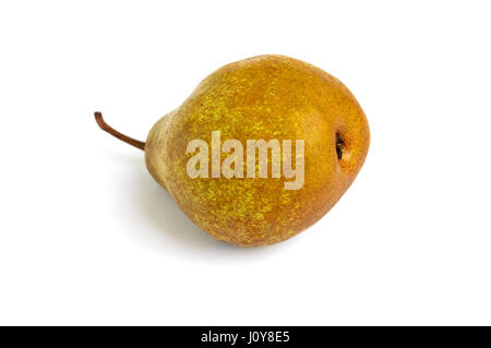 Un grande giallo (marrone) Pera si trova sul suo lato isolato su uno sfondo bianco. Foto Stock