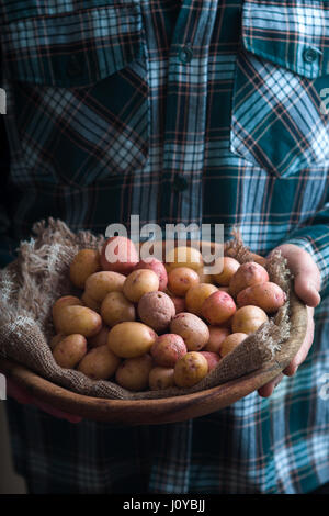 Piatto di legno con materie di patate nelle mani Foto Stock