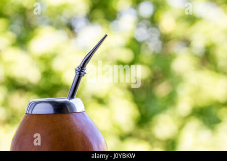 Yerba mate in zucca matero. sud americana tradizionale bevanda Foto Stock