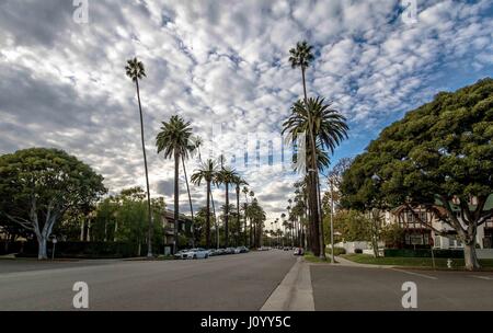 Street con palme di Beverly Hills - Los Angeles, California, Stati Uniti d'America Foto Stock