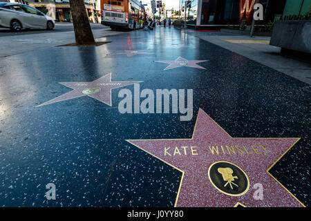 L'Hollywood Walk of Fame in Hollywood Boulevard - Los Angeles, California, Stati Uniti d'America Foto Stock