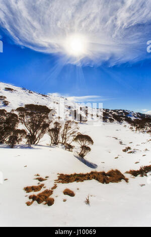 Giorno d'estate e di sole alto nel kosciuszko national park montagne alpine. Perisher valley è popolare località sciistica e la destinazione di ricreazione per l'inverno. Foto Stock