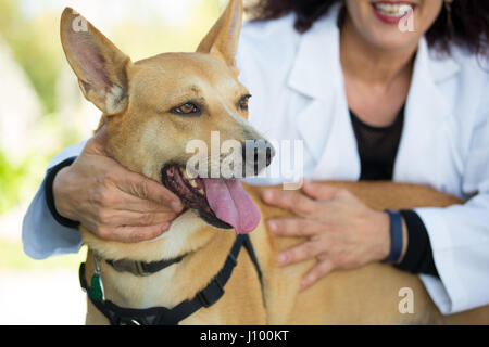 Closeup ritratto, dolci momenti professionisti sanitari in bianco camice con il cane, controllo dei linfonodi, isolata all'esterno soleggiato al di fuori di sfondo, Foto Stock
