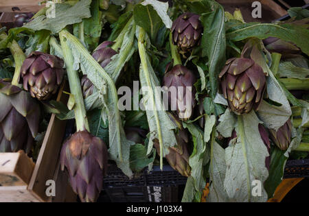 Carciofi freschi in un mercato italiano Foto Stock