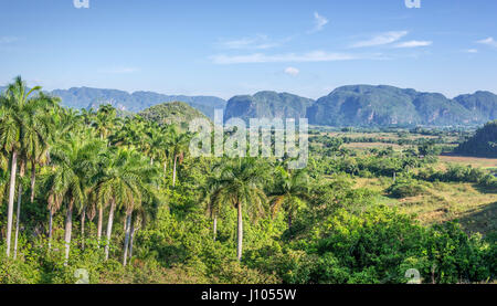 Panorama di Vinales Valley, Cuba Foto Stock