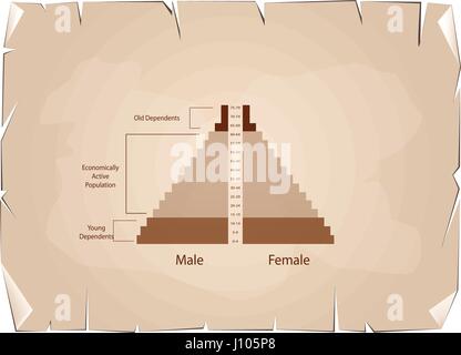 Popolazione e demografia, Illustrazione di dettaglio delle piramidi di popolazione grafico o la struttura di età grafico sulla Antica Vintage Grunge Texture della carta indietro Illustrazione Vettoriale