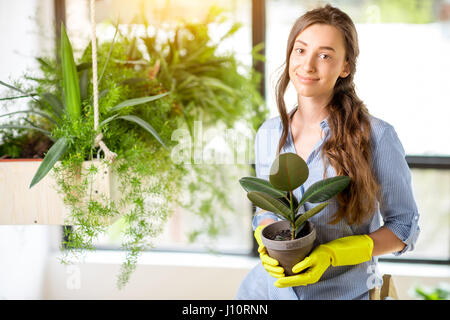 Giovani giardiniere nell'orangerie con piante verdi Foto Stock