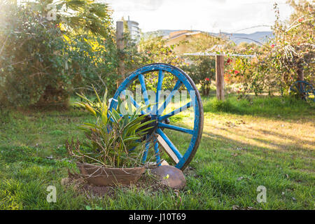 Concetto di arredamento per giardino - ruota di legno su uno sfondo di erba verde Foto Stock