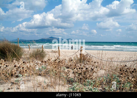 Playa de Muro, Alcudia Foto Stock