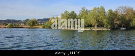 Alberi in Auslikon, posto sul lago di Pfaffikon, Svizzera. Scena di primavera. Foto Stock