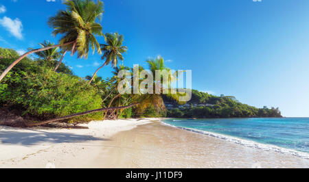 Paradise beach su Seychelles, Anse Takamaka, Isola di Mahe. Foto Stock