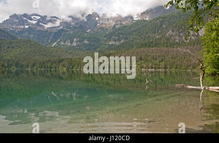 Tranquille acque del lago di Tovel nel gruppo delle Dolomiti di Brenta del nord Itlay Foto Stock