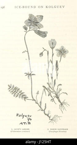 Ice-Bound su Kolguev. Un capitolo nella esplorazione di Arctic Europa, a cui viene aggiunto un record della storia naturale dell'isola ... Con numerose illustrazioni da J. T. Nettleship, C. Whymper, e l'autore, e tre mappe Foto Stock