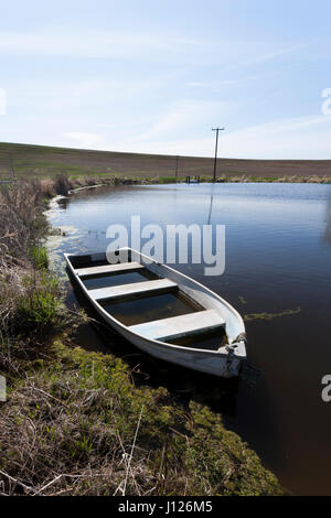 Una vecchia barca a remi parzialmente riempita con acqua in uno stagno in Eastern Washington. Foto Stock