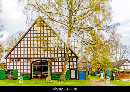 Rundling Jabel (Wendland ha), vicino Luechow-Dannenberg; Rundlingsdorf Jabel im Wendland ha Foto Stock