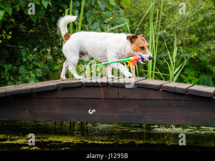 Divertente il pescatore con canna da pesca con grande gancio sul ponte di legno Foto Stock