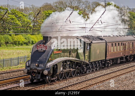 Unione di Soiuth Africa A4 classe pacifico locomotiva a vapore cale le cattedrali Explorer rail tour sulla West Coast Main Line WCML Winwick a. Foto Stock