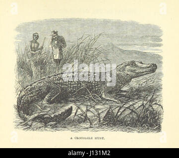 Immagine presa da pagina 253 di "Stories del paese di gorilla, etc' Foto Stock