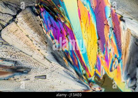 Colorato di micro cristalli di liquore in luce polarizzata Foto Stock