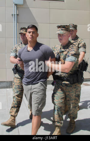 Stati Uniti Marine Corps Staff Sgt. Rangy Rivera, active shooter roll player, è detenuto da U.S. Marines con il Provost Marshal Office durante un tiratore attiva lo scenario di addestramento come una parte di esercizio Semper Durus alla comunicazione del Centro di Formazione su Camp Pendleton, California, 12 aprile 2017. (U.S. Marine Corps photo by Lance Cpl. Betzabeth Y. Galvan) Foto Stock