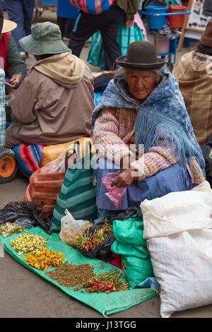 Vecchia Signora nel cappello bowler vendendo le teste dei fiori in un mercato di strada nella città mineraria di Oruro sull'altipiano della Bolivia. Foto Stock