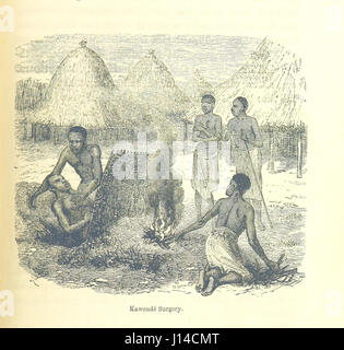 L'ultimo diari di David Livingstone in Africa centrale, dal 1865 fino alla sua morte. Continua da un racconto del suo ultimo momenti e sofferenze, ottenuto dai suoi servi fedeli Chuma e Susi, da H. Waller. Con ritratto, mappe e illustrazioni Foto Stock