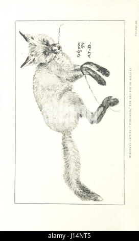 Ice-Bound su Kolguev. Un capitolo nella esplorazione di Arctic Europa, a cui viene aggiunto un record della storia naturale dell'isola ... Con numerose illustrazioni da J. T. Nettleship, C. Whymper, e l'autore, e tre mappe Foto Stock