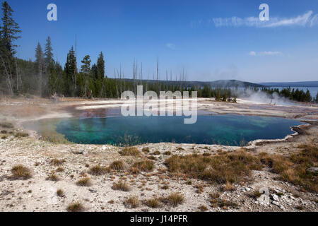 Abisso piscina, West Thumb Geyser Basin, il Parco Nazionale di Yellowstone, Wyoming USA Foto Stock