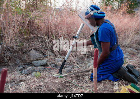 Un deminer spazzando un campo minato di Cahora Bassa, Mozambico. Il paese è stato dichiarato libero dalle mine nel 2015 Foto Stock