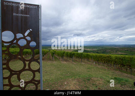 Viewpoint a Hiwweltour Heideblick dicendo la maggior parte della vista bella di vigneti nella regione di Rheinhessen Foto Stock