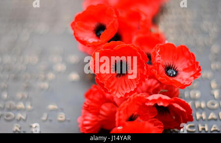 A Canberra, Australia - 18 Marzo 2017. Parete di papavero elenca i nomi di tutti gli australiani, morto in servizio degli eserciti. Il papavero rosso è un simbolo. Foto Stock