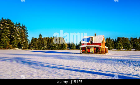 Rosso e fatiscente casa abbandonata in un bianco coperto di neve in campo Glen Valle del Fraser Valley della British Columbia, Canada sotto il cielo blu chiaro Foto Stock