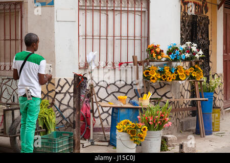 Un uomo che vendono fiori in un supporto temporaneo in strada a l'Avana, Cuba. Foto Stock
