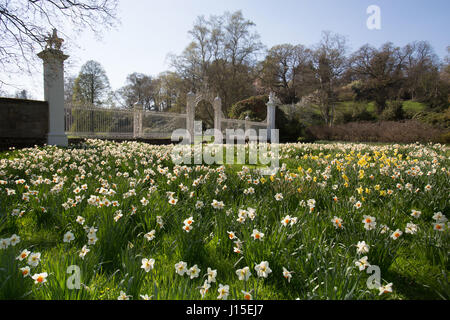 Cholmondeley Castle Gardens. Vista la molla del xviii secolo Il Grade II* elencati Robert Bakewell gates a Cholmondeley Castle. Foto Stock