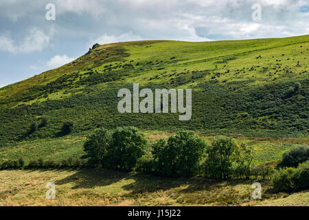 Willstone Hill e la battaglia di pietre. nella speranza Bowdler colline vicino a Church Stretton, Shropshire, Inghilterra, Regno Unito. Foto Stock