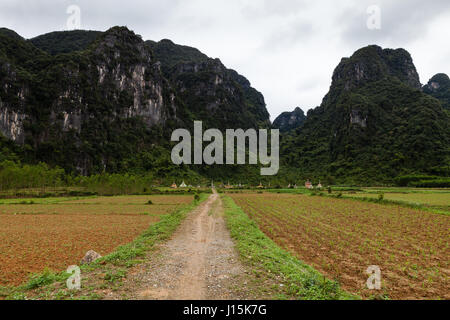 Phong Nha regione, Vietnam - 9 marzo 2017: antiche tombe dalle montagne. Foto Stock