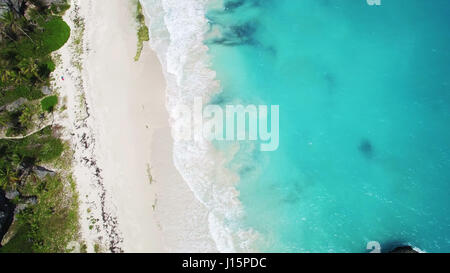 Vista aerea: spiaggia caraibica di Barbados Foto Stock