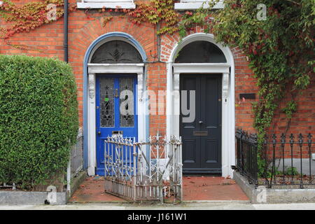 Porte georgiana a Dublino, Irlanda Foto Stock