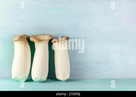 Una foto del re di trombe, commestibili funghi del Mediterraneo, su un fondo azzurro con spazio di copia Foto Stock