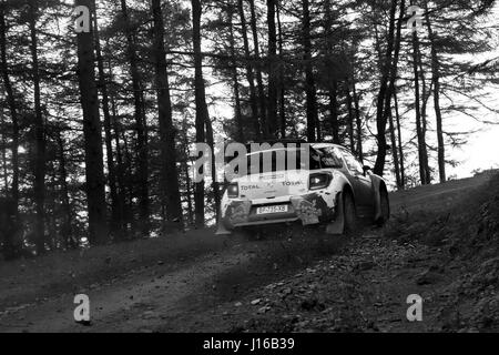 Citroen auto da rally - Campionato del Mondo Rally del Galles Foto Stock