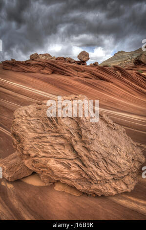 STEP-all'interno di una vera e propria vita pittura surrealista. Benvenuti al bizzarro paesaggio desertico dove lone visitatori sembrano aver chiesto in un dipinto del surrealista maestri dell'arte-mondo. Foto dal fotografo G. Brad Lewis (56) di Southern Utah mostrare bellissime pennello-come texture di un posto chiamato l'onda situato nel Paria Canyon-Vermilion scogliere selvagge. L'onda è tale per un prezioso luogo solo 20 persone-per-giorno sia concesso il permesso di visita. Foto Stock