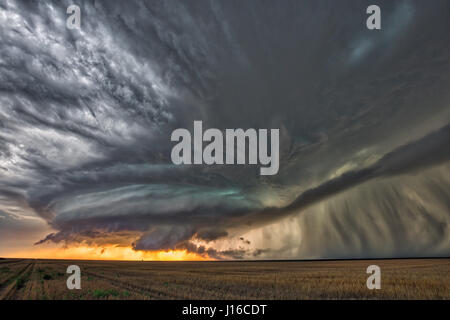 NABRASKA, USA: un insegnante ha braved la morte in un ossessivo bid per documentare la nascita e la morte della natura è drammatico supercell temporali. Con l'atmosfera scoppiettante con tensione, foto mostrano come questa tempesta è venuto vivo con esplosioni di mortale di lampo prima di questo coraggioso stormchaser amatoriale è stato in grado di fare la sua fuga e cattura la calma cielo blu e raggi solari che emergono da dietro una volta che-arrabbiato nuvole. Le foto sono state scattate nella grande pianura di America's Midwest dalla alta scuola di insegnante di chimica Mark Rosengarten (48) che ha dedicato dieci anni della sua vita a caccia e documentare drammatico Foto Stock