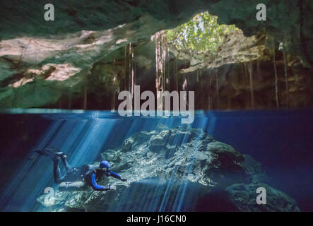 CENOTE TAJMA HA, Messico: DIver discendente nel cenote. Immergendosi nelle profondità del mare blu profondo foto mostrano come questo diving dentista è la ricerca per la ultimate selfie subacquea. In posa accanto a un squalo balena queste immagini umoristiche dimostrano che vi è mai un cattivo tempo per uno scatto veloce di te stesso con una 20-tonnellata sea-bestia. Altre foto mostrano i subacquei in alcune delle più incredibili sfondi, dalle immersioni subacquee con un squalo blu nelle Azzorre per esplorare una profonda piscina in Veikkola, Finalnd. Dentista finlandese Markku Petteri Viljakainen (37), è immerso in tutto il mondo ad acquisire e condividere la sua mozzafiato Foto Stock