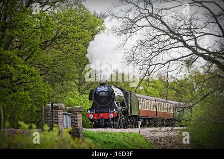 Il Flying Scotsman locomotiva a vapore presso la ferrovia Bluebell, Horsted Keynes SUSSEX REGNO UNITO Foto Stock