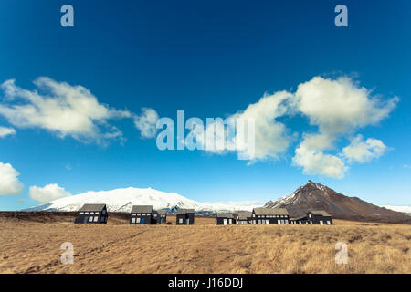 Case nero in campo oro, Hellnar, Snaefellsnes peninsula, western Islanda Foto Stock