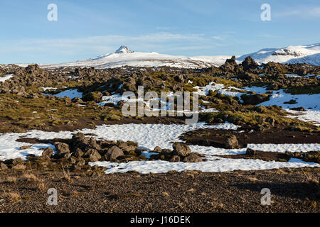 Moss rocce coperte in campo lavico Berserkjahraun, Snaefellsnes (Snaefellsnes) penisola, western Islanda Foto Stock