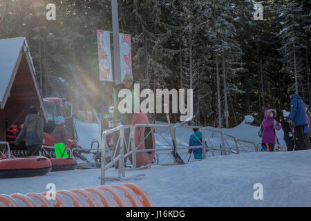 La gente che ottiene pronta per scivolare sulla neve i tubi , Whistler Foto Stock