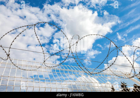 Filo spinato contro il cielo blu sullo sfondo. Recinzioni protettive appositamente oggetto protetto di filo spinato Foto Stock